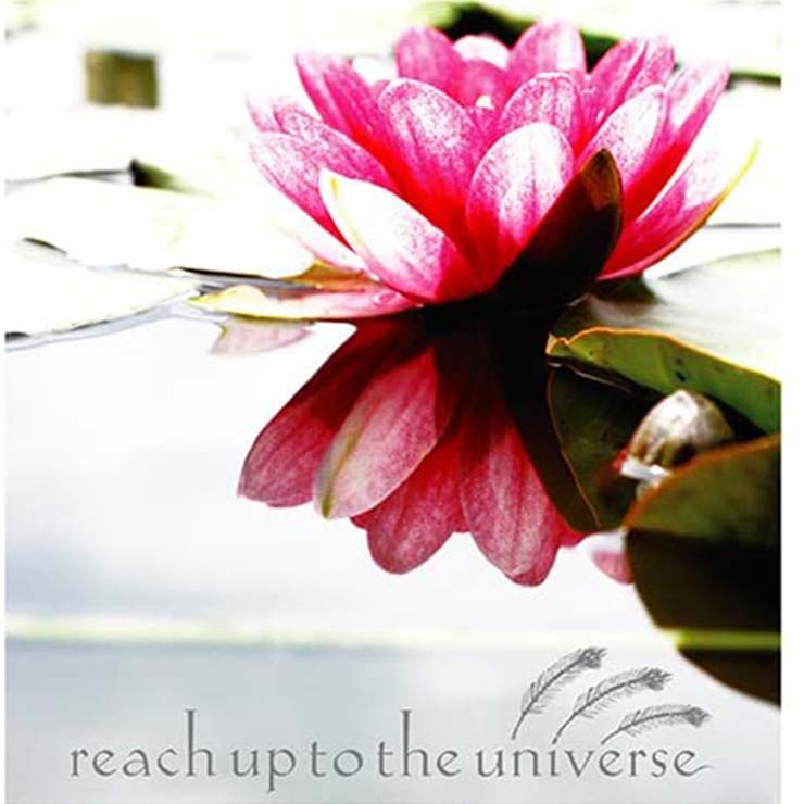Reach Up To The Universe｢reach up to the universe｣